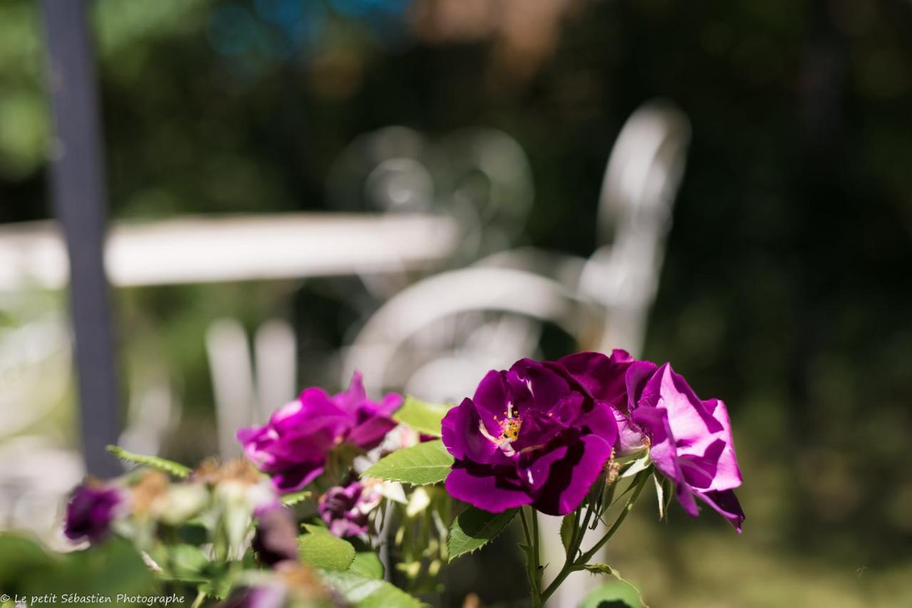 Hotel Le Petit Flo Flocourt Zewnętrze zdjęcie